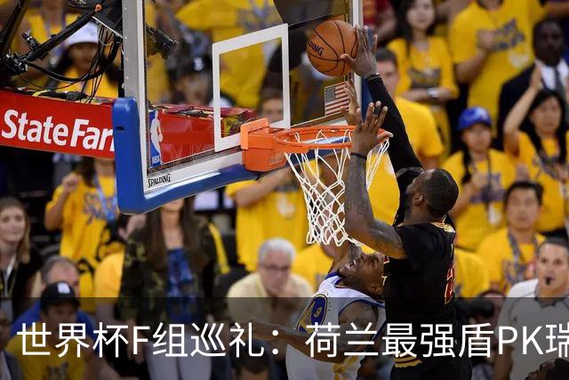 世界杯F组巡礼：荷兰最强盾PK瑞典犀利刀 日本短板明显